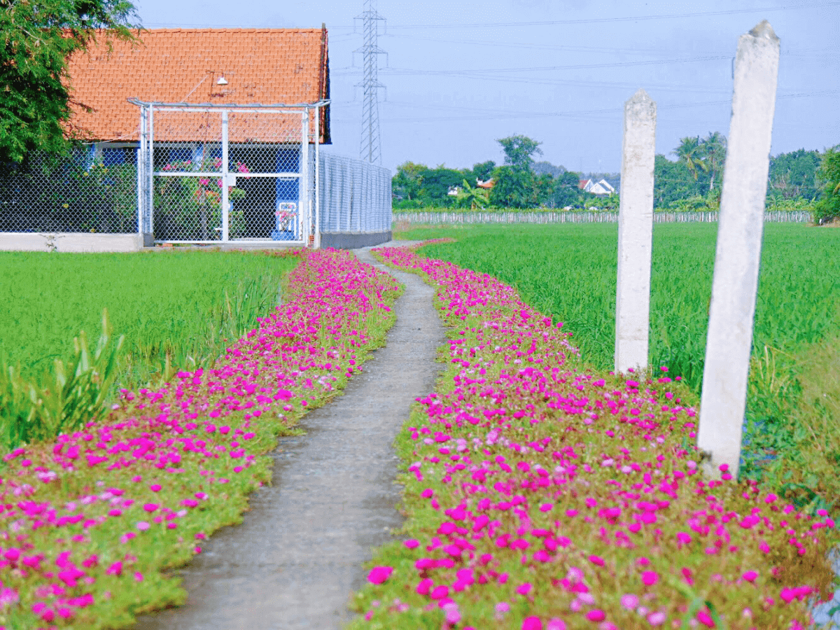 ロンアンの「ハッピー ロード」にチェックイン