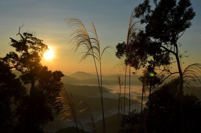 Que Tay Giang 피크