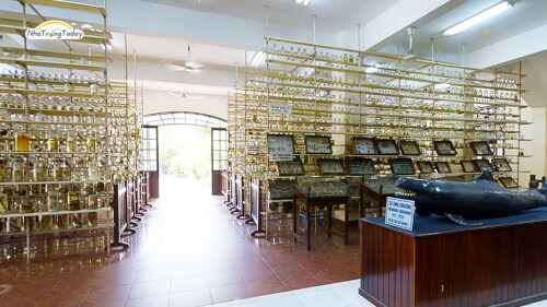 Viện Hải dương học Nha Trang