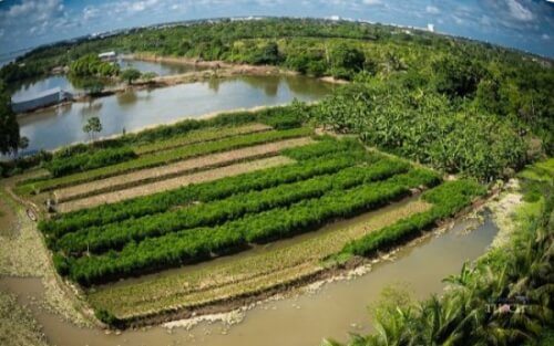 上から見たCon Auの美しさ