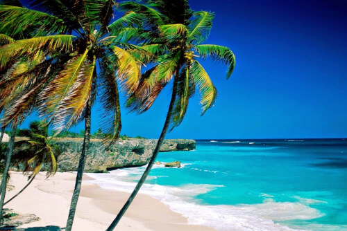 ベトナムの沿岸の真珠、ニャチャンを体験すべき 5 つの理由