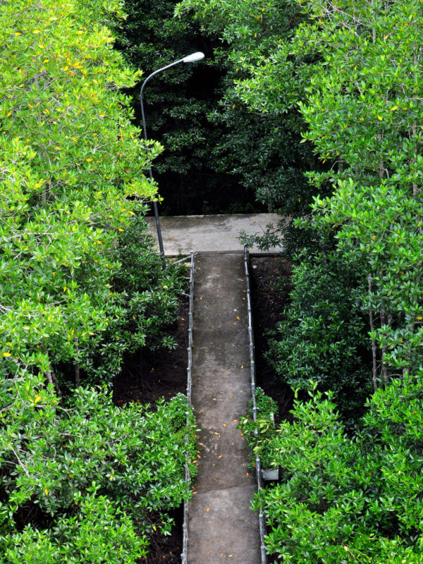 Khu du lịch sinh thái Dần Xây