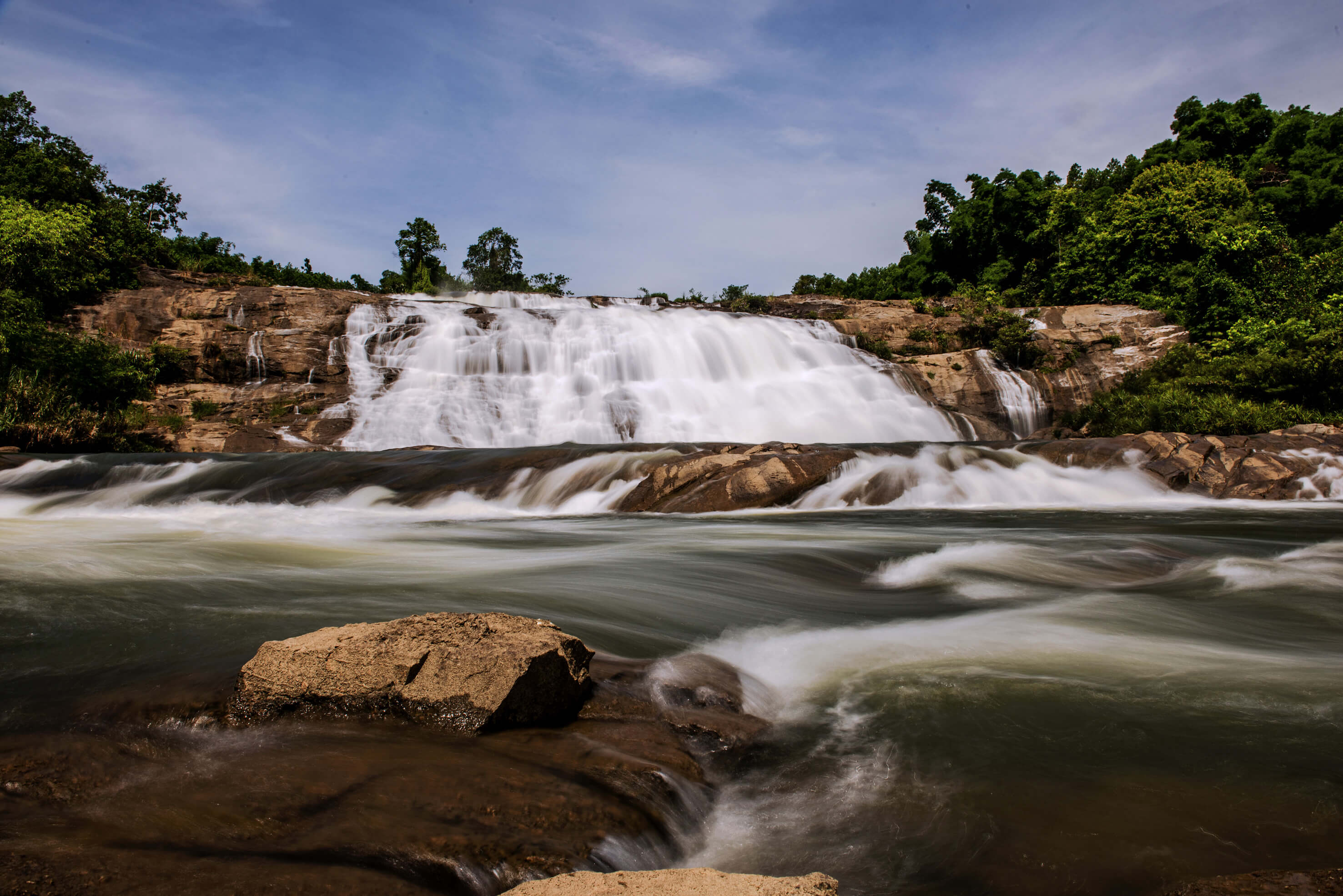 心を魅了する野生の美しさ