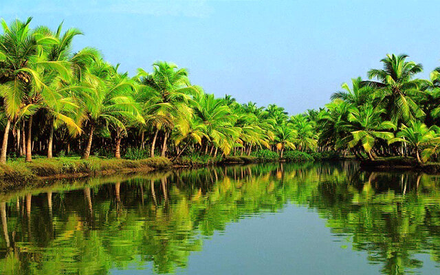 Cồn Ốc Bến Tre