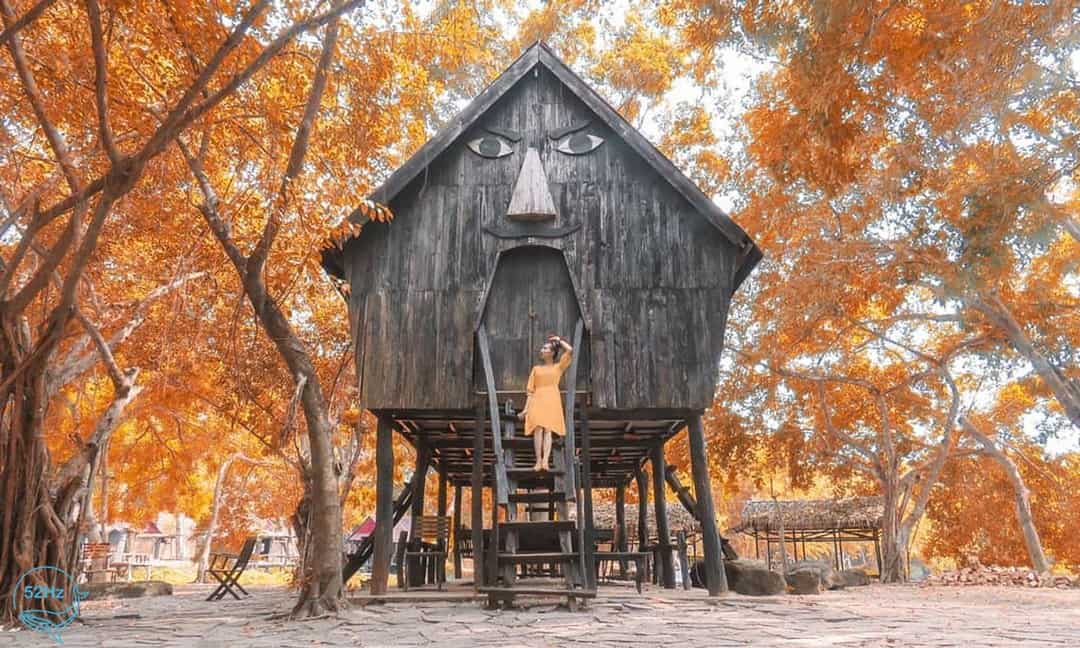 カオミン観光区は、ホームステイ、村、バンガロー、高床式住宅など、あらゆる人の多様な休息ニーズに応える多様なリゾート システムを所有しています。