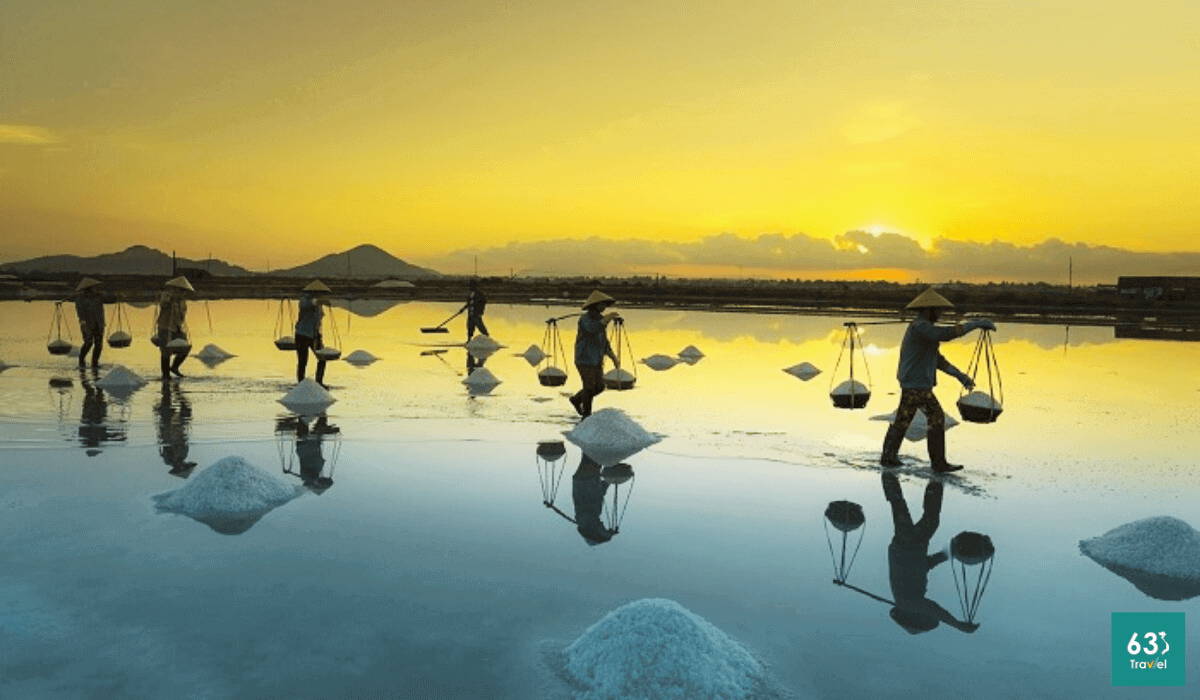 Cánh đồng muối Bạch Long - hiện thân của những diêm dân 'cõng nắng'