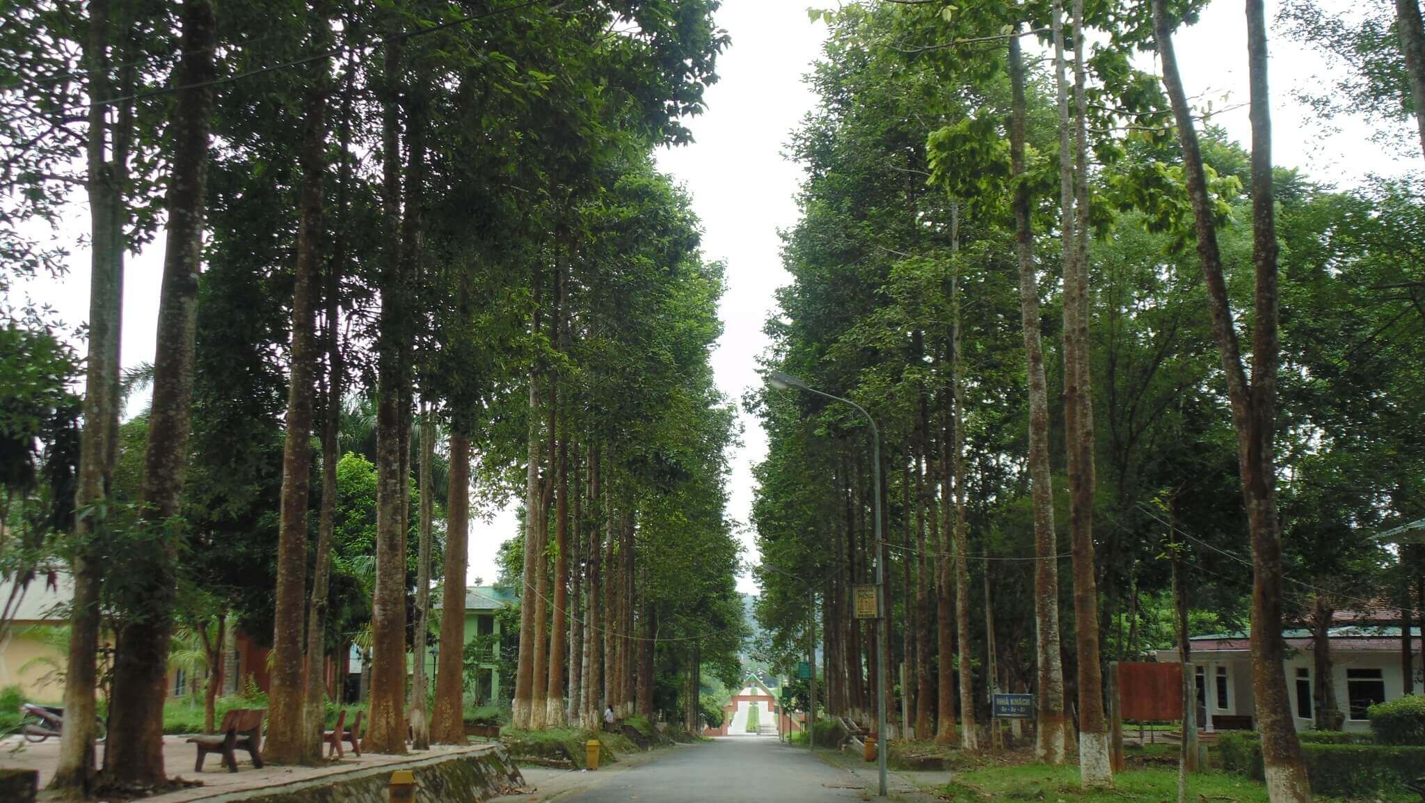 Vườn Quốc gia Pù Mát