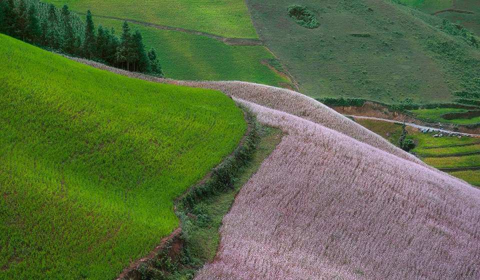 Đồi tam Giác Mạch xã Lử Thần