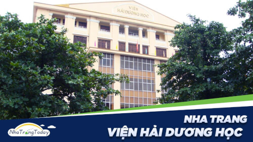 見逃せない「質の高い」チェックイン コーナーを備えた 100 年の歴史を持つ海に関する博物館