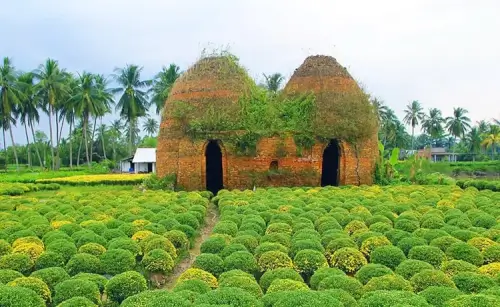 カイモン フラワー ビレッジの写真
