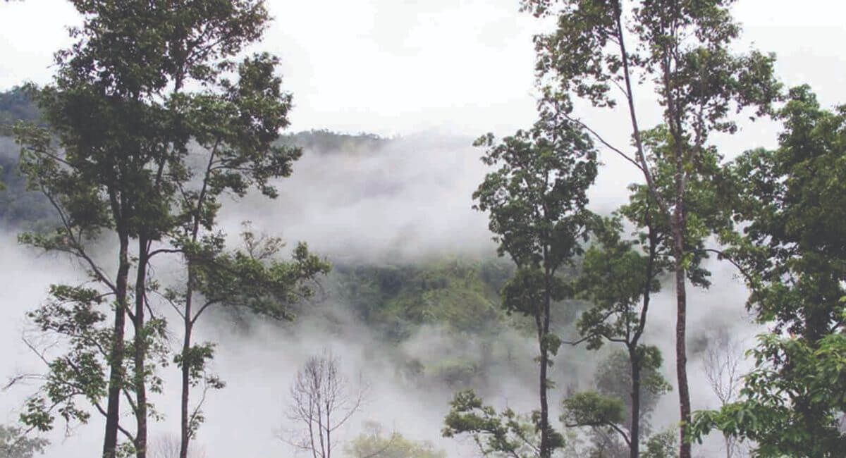 Khu bảo tồn thiên nhiên Mường Tè