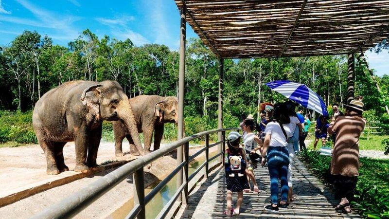 ヴィンパール サファリ フーコック