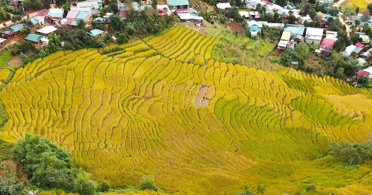 北西部の段々畑ほど雄大で荘厳ではありませんが、望里の段々畑は高原特有の魅力的な姿をしています。