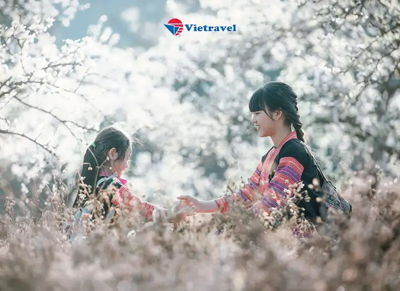 북부: 반호(Van Ho) - 목쩌우(Moc Chau) - 마이쩌우(Mai Chau) - 북서부의 정체성이 퍼지는 곳(5성급 Avana Retreat 서비스 체험)