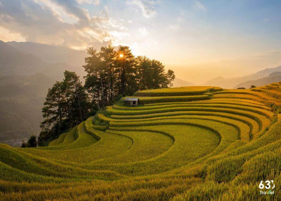 Mù Cang Chải đẹp siêu thực,du khách tranh thủ check-in cuối mùa vàng