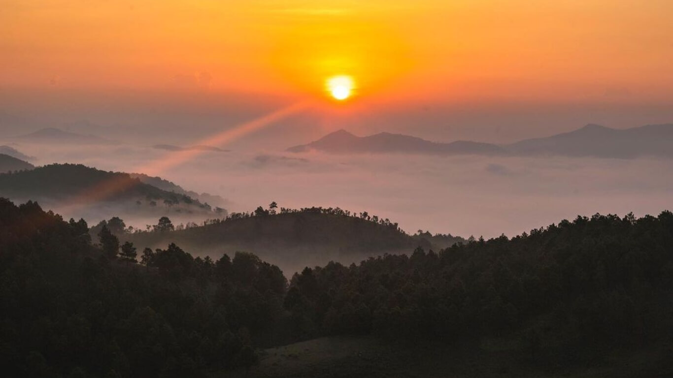 Hành Trình Chinh Phục Vẻ Đẹp Hùng Vĩ Tại Đỉnh Phượng Hoàng