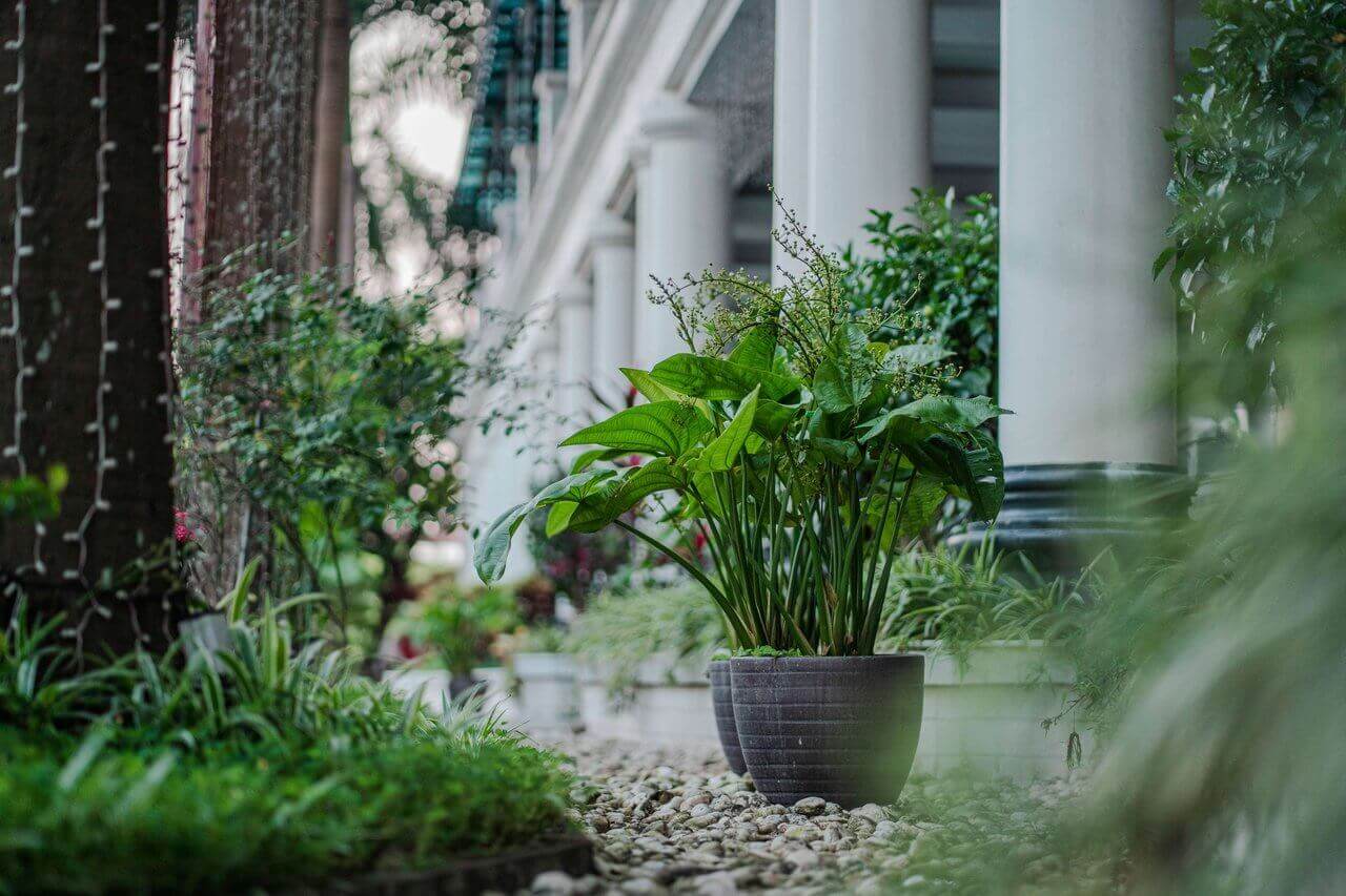 Khách sạn May Plaza