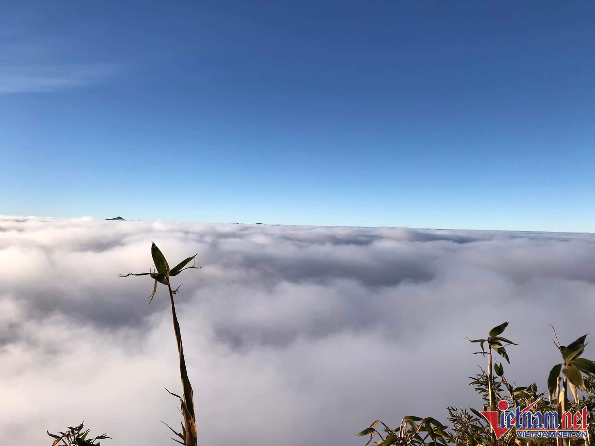 Đỉnh Tả Liên – Phong Thổ