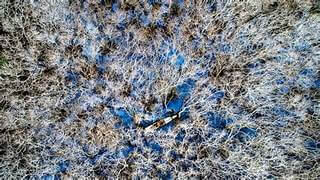 落葉と花の季節のルーチャの彩り