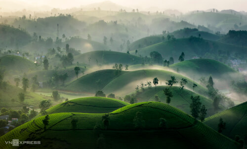 ロングコックティーヒルの朝露