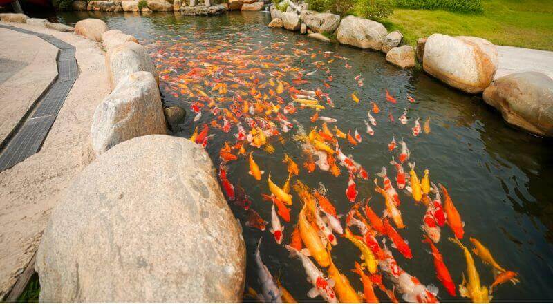 Vườn thú Mỹ Quỳnh