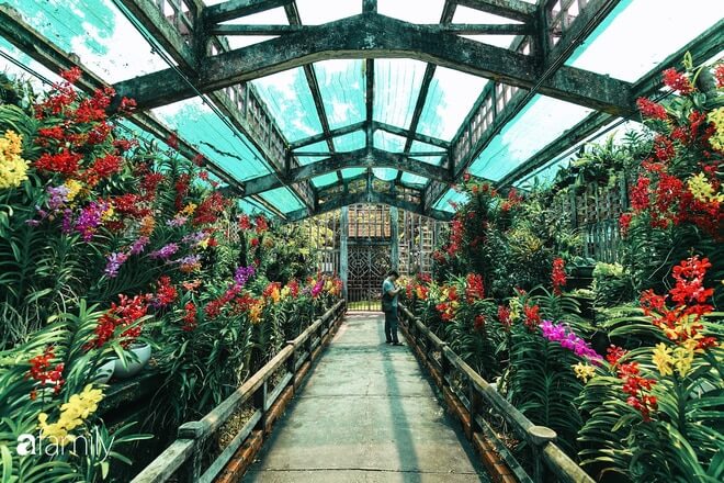 人々は動物園をサイゴンの緑の肺と呼びます