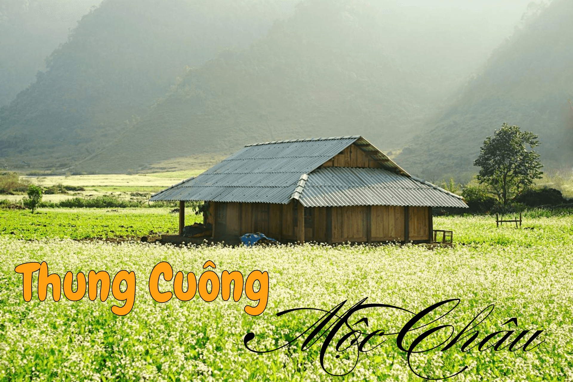 Kinh nghiệm khám phá Bản Thung Cuông ở Mộc Châu