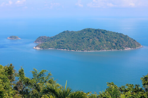 Ca Mau 섬의 야생의 아름다움