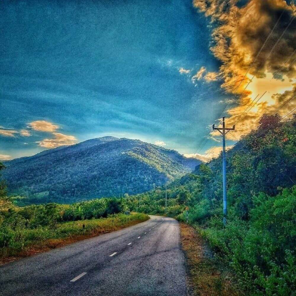 푸옥빈 국립공원