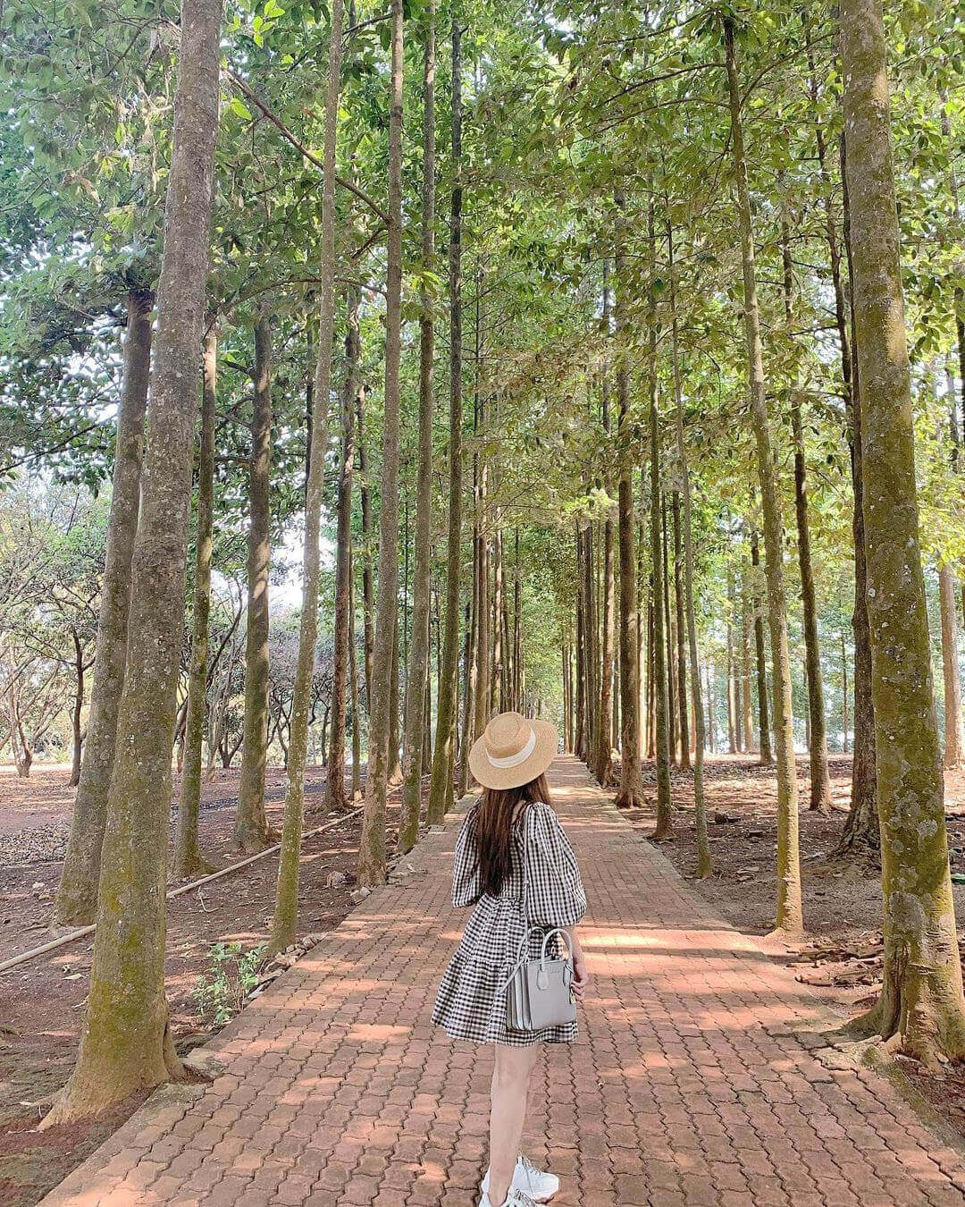 Khu du lịch Đảo Ó