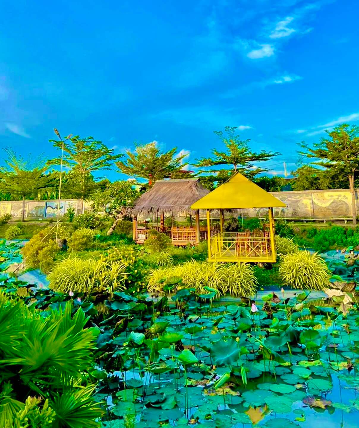 Nếu bạn muốn trở về với cuộc sống đơn giản và yên bình của nông thôn, Khu Du Lịch Sinh Thái Cội Nguồn là điểm đến lý tưởng.