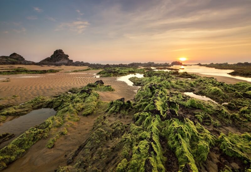 이 곳은 절벽을 따라 흐르는 깨끗한 황금빛 모래 해변과 이곳에 독특한 매력을 선사하는 천연 제품으로 눈에 띕니다.