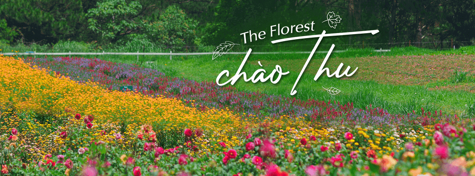 The Florest - Hoa Trong Rừng
