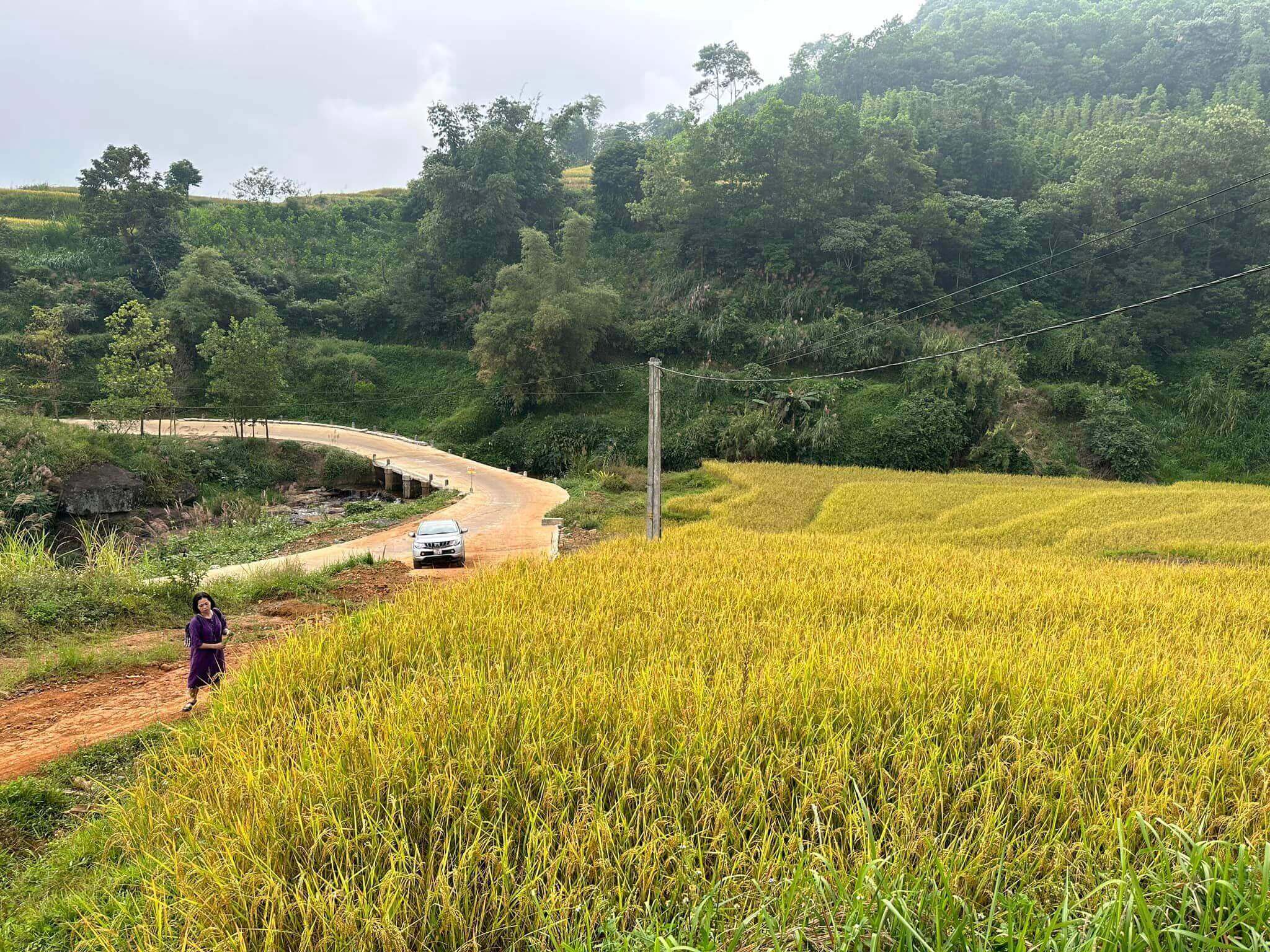 Experiencing the "Golden Season" in Mien Doi, Hoa Binh