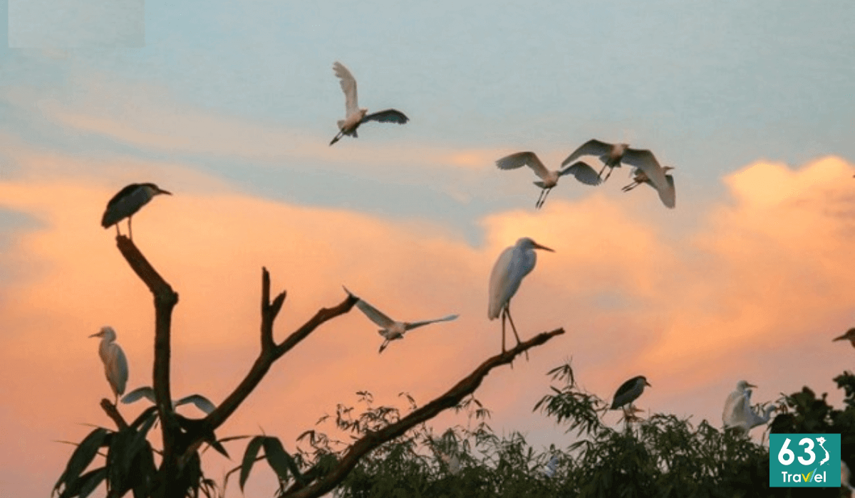 Chiêm ngưỡng đảo Cò Chi Lăng Nam Hải Dương