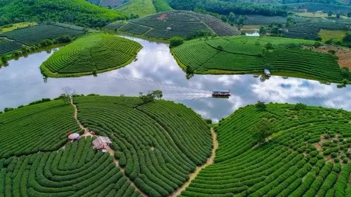 タインチュオンティーヒル - ゲアンの中心部にある緑の島