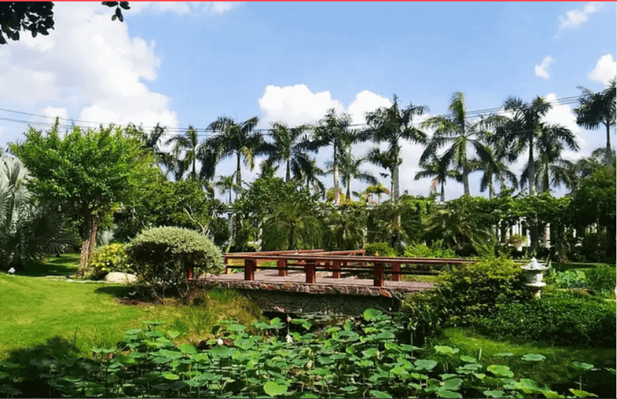 ベトナムの都市が東南アジアで「最も清潔な」場所トップ3に入る、その名前を聞くと誰もが驚く