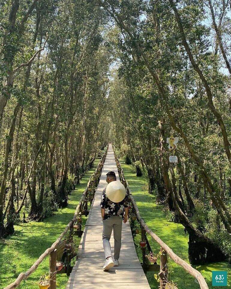 Về rừng tràm Trà Sư,đắm chìm trong không gian “xanh mướt mắt”