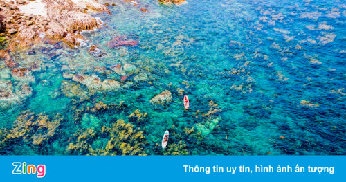 ホンコーの夏が夢の季節を迎える