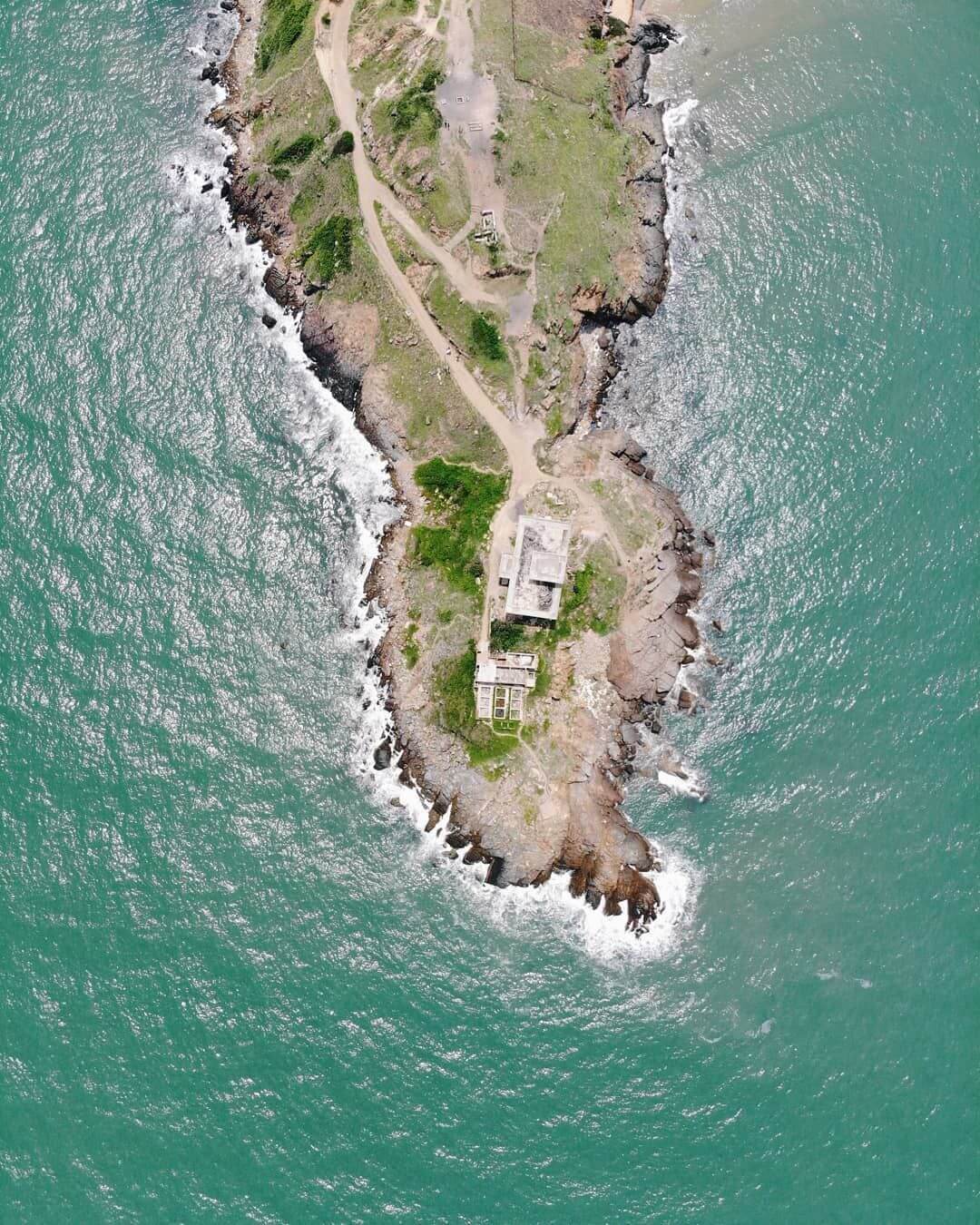 上から見ると、ニンフォンの鼻はウミガメに似ています