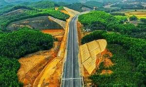 ダウ・ジャーイ - ファン・ティエット高速道路を囲む緑のゴム林に恋をしてください