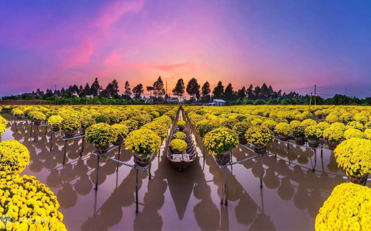 花園に入るとすぐに、美しい花の種類の色鮮やかで独特な色合いに圧倒されます。 T