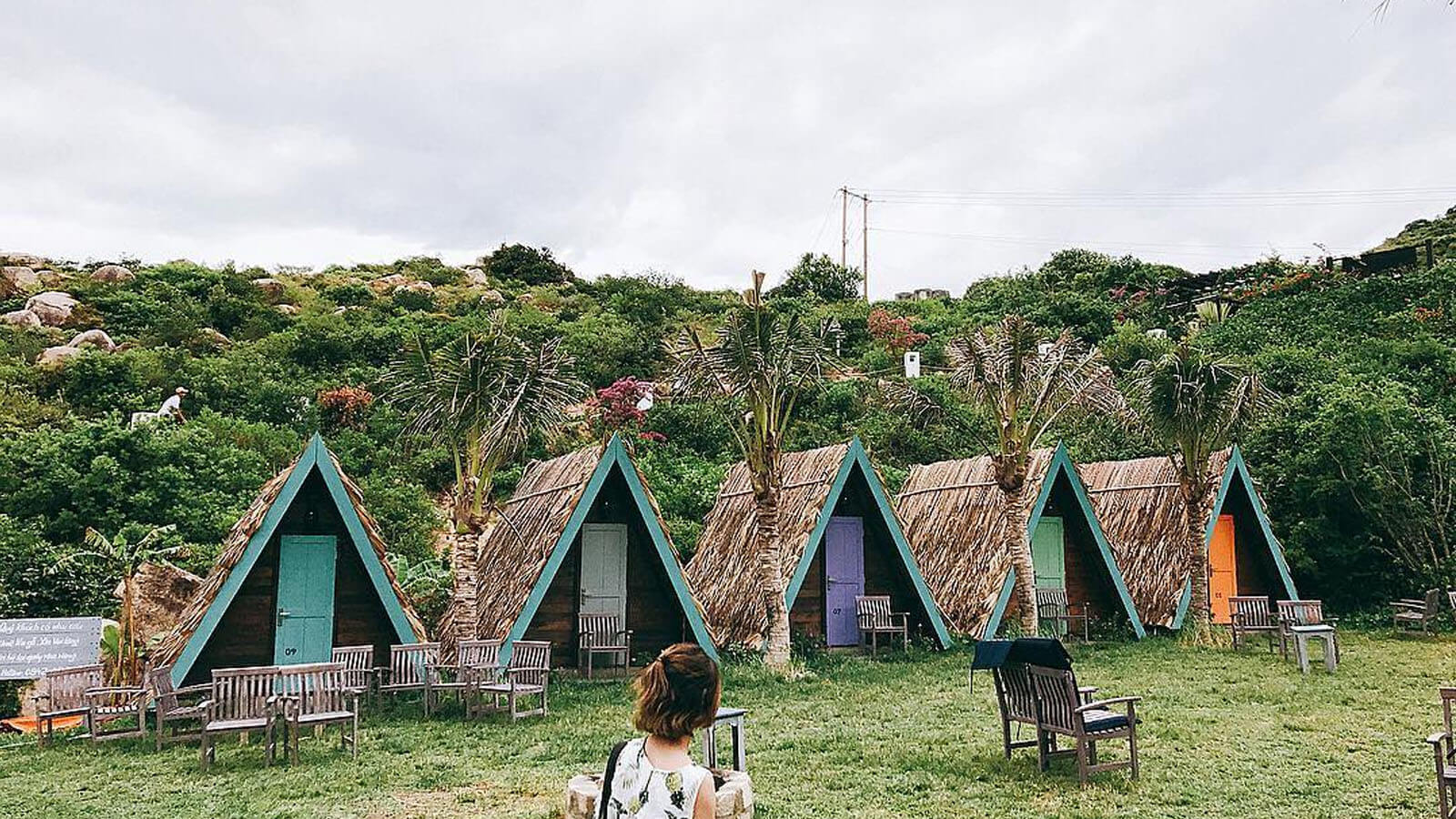 Trung Luong 피크닉 장소