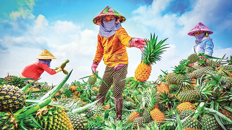 ここでは、新鮮な空間と穏やかな村の風景を映した美しい仮想写真を保存することもできます。