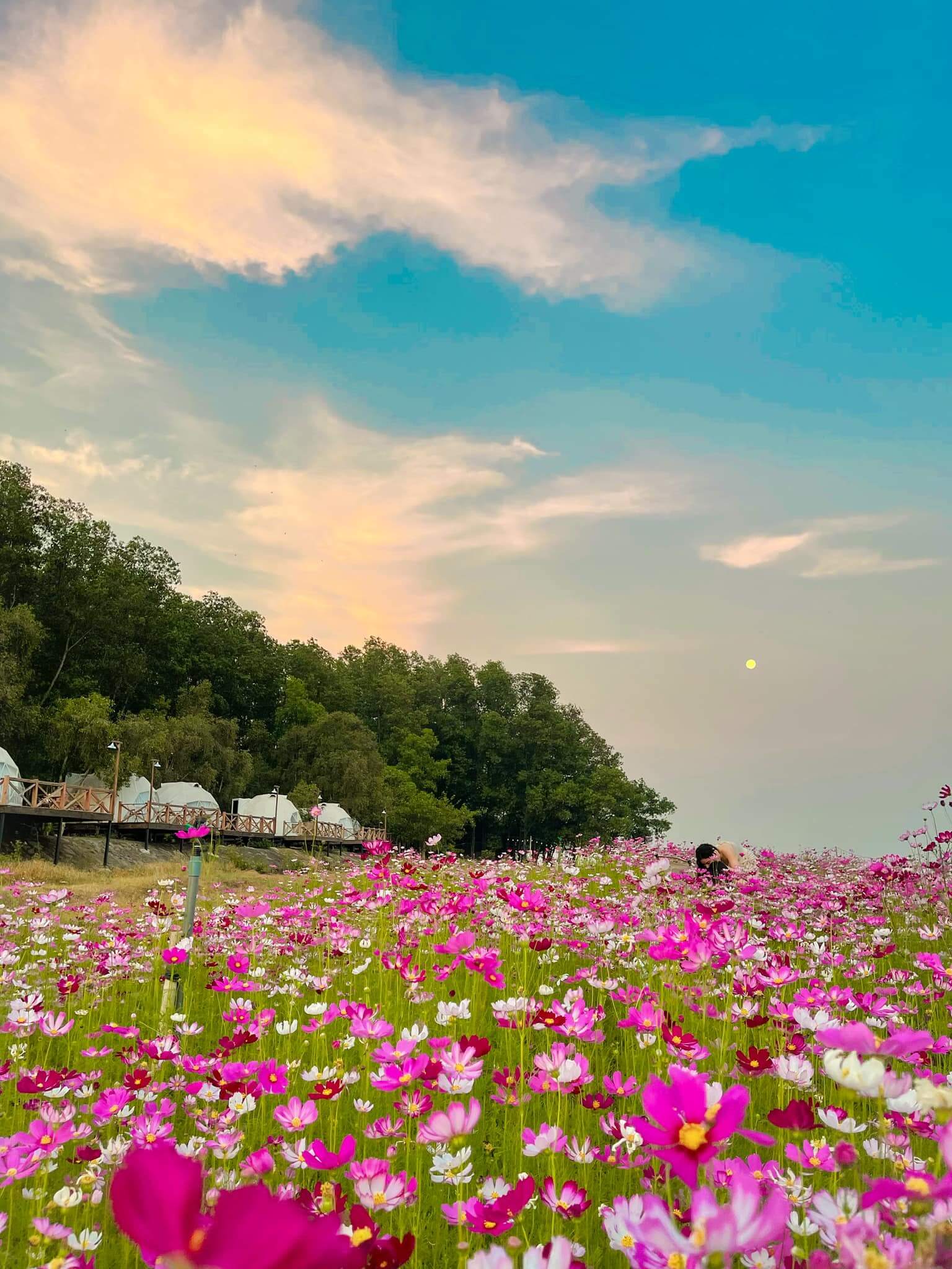 The Emma に来るゲストは自然に浸り、自由にチェックインしてバーチャルに暮らすための美しい写真をたくさん見ることができます。