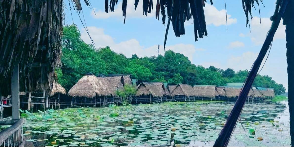 Tra Loc Tram - 自然のままの美しさでどこでも有名