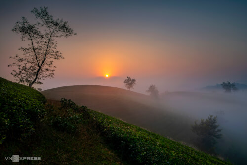 ロングコックティーヒルの夜明け