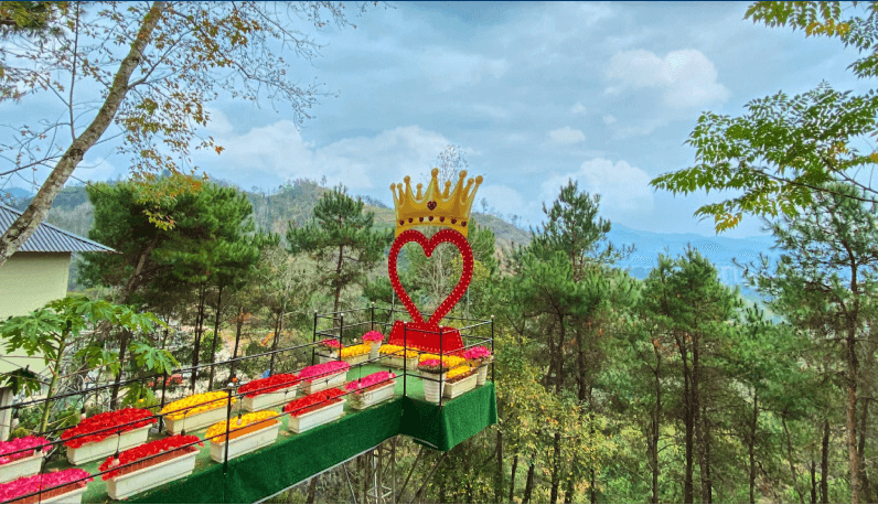 ティン ソン ティン アン ザ カオ バンを探索する