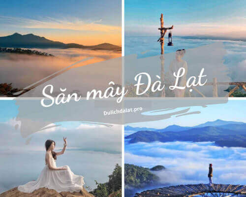 ダラットの雲を狩るキャンプ場 5 選