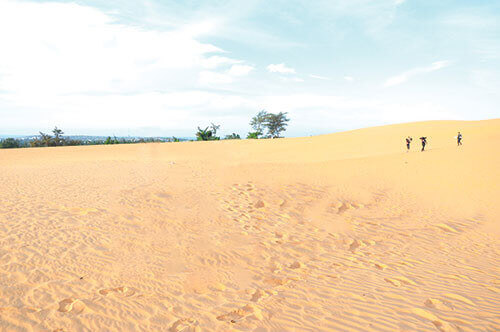 ムイネーの飛行砂丘が観光客を魅了する